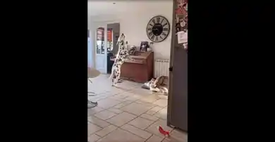 кадр из видео