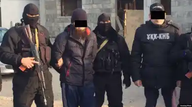 иллюстративное