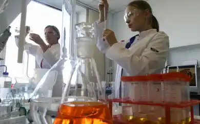 иллюстративное фото