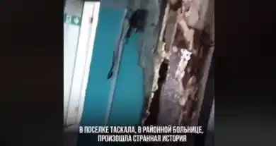 кадр из видео