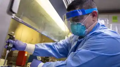 иллюстративное