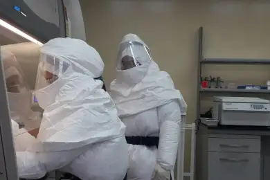 Уже 80226 случаев коронавируса зарегистрировано в Казахстане