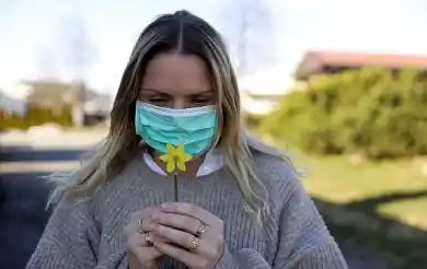 иллюстративное