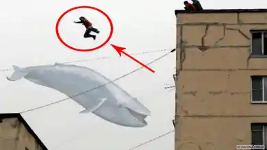 иллюстративное