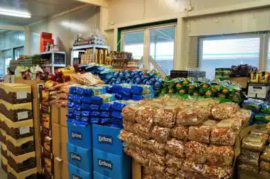 иллюстративное