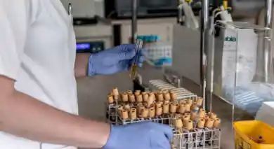 иллюстративное фото