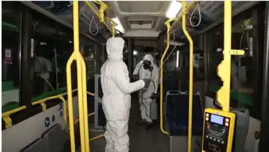 иллюстративное