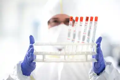 иллюстративное