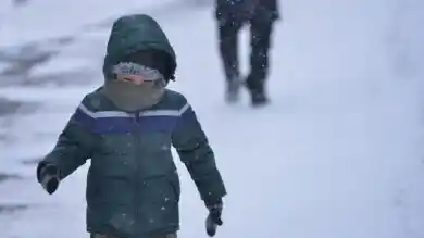 иллюстративное фото