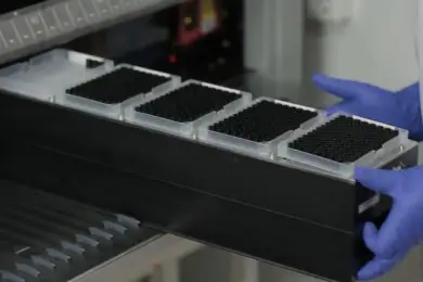 Казахстан построит завод по выпуску вакцины от COVID-19. Видео