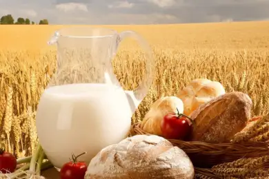 Вопреки пандемии: взрывной рост агропрома в Акмолинской области