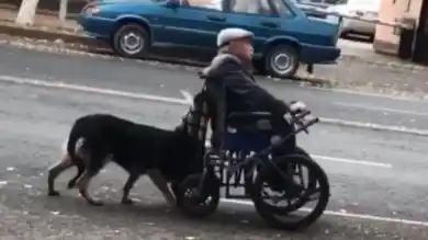 кадр из видео