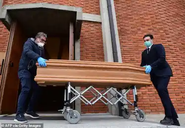 иллюстративное