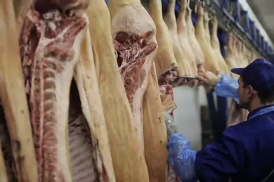 До тысячи рабочих мясокомбината заразились COVID в ФРГ