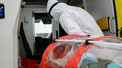 иллюстративное