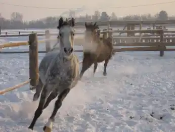 иллюстративное фото