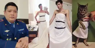 иллюстративное