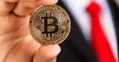 иллюстративное