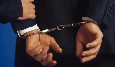 из открытых источников