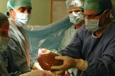 Изъятые органы могут вывозить за пределы Казахстана — Биртанов