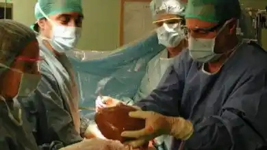 иллюстративное