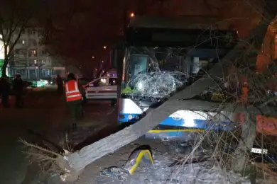 Троллейбус сшиб пешехода и снес дерево в Алматы