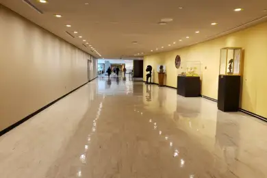 Штаб-квартира ООН изнутри во время пандемии коронавируса. Рассказ казахстанца