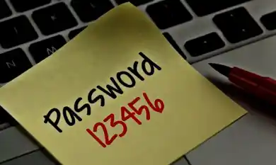 иллюстративное фото