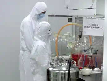 в новосибирском Векторе