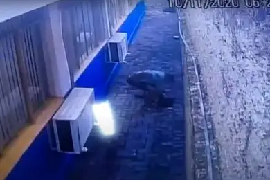 Зэки сбежали из тюрьмы через подкоп — видео из Бразилии