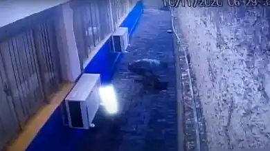 кадр из видео