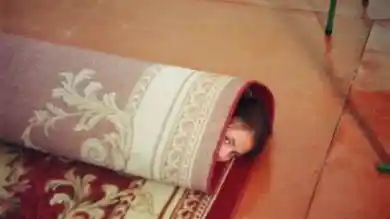 Актобе Таймс