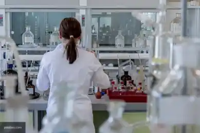 иллюстративное