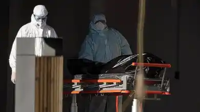 иллюстративное