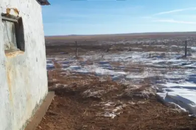 Рабы в Казахстане. Откровения МВД республики. Видео