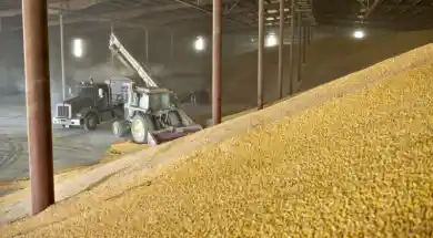 иллюстративное фото