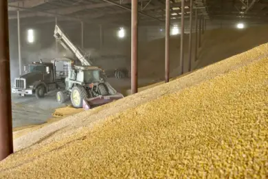 Директор элеватора обчистил госрезерв на миллиарды тенге