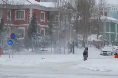 иллюстративное фото