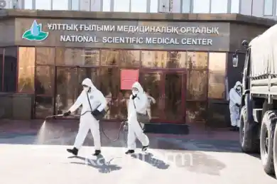 иллюстративное