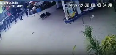 кадр из видео