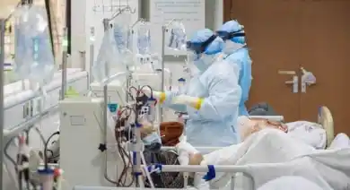 иллюстративное