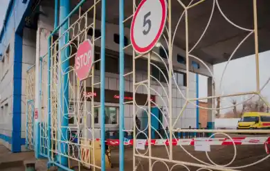 иллюстративное