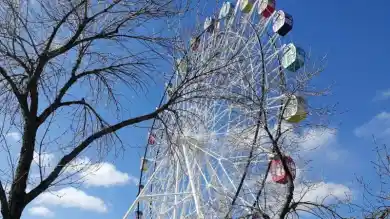 из открытых источников