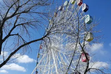 Чертовски дорогое и скандальное колесо обозрения снесут в Рудном