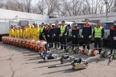 Нур-Султан начал борьбу с комарами