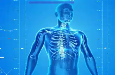 Ученые научились печатать кости внутри организма с помощью его же клеток. Видео