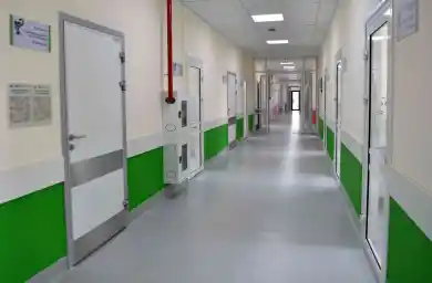 иллюстративное