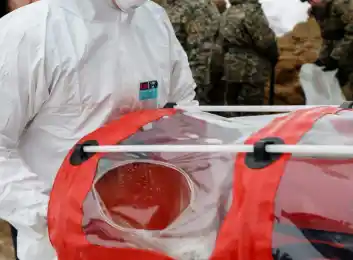 иллюстративное