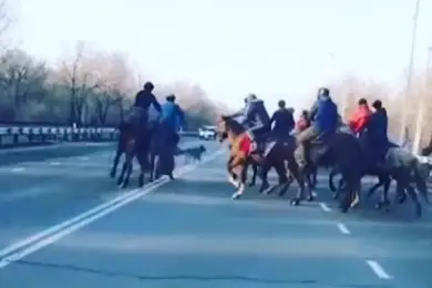 Кокпар устроили прямо на улицах Талдыкоргана