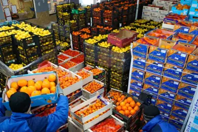 Оптовые цены на продукты поднялись в Казахстане